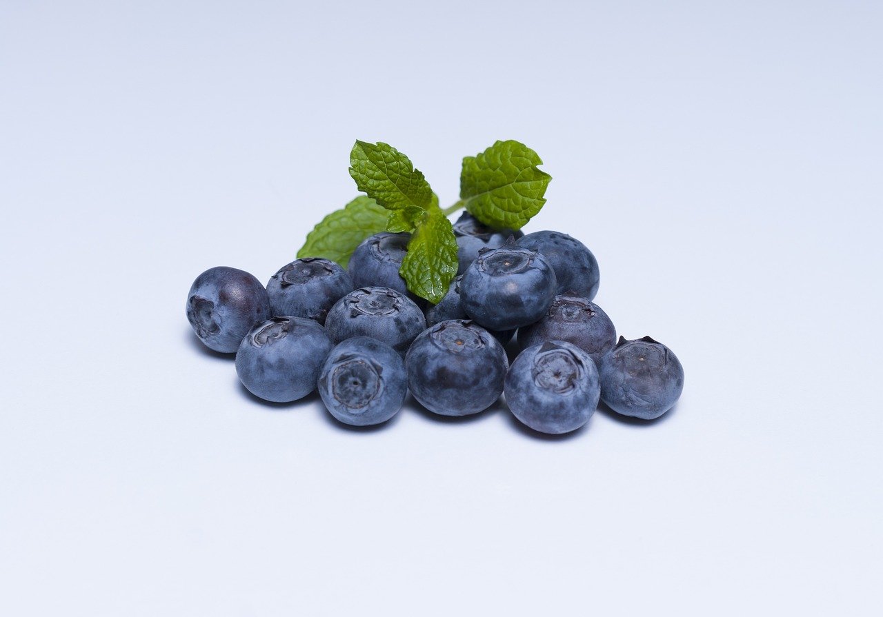 blueberry, blueberries, fruit-873784.jpg