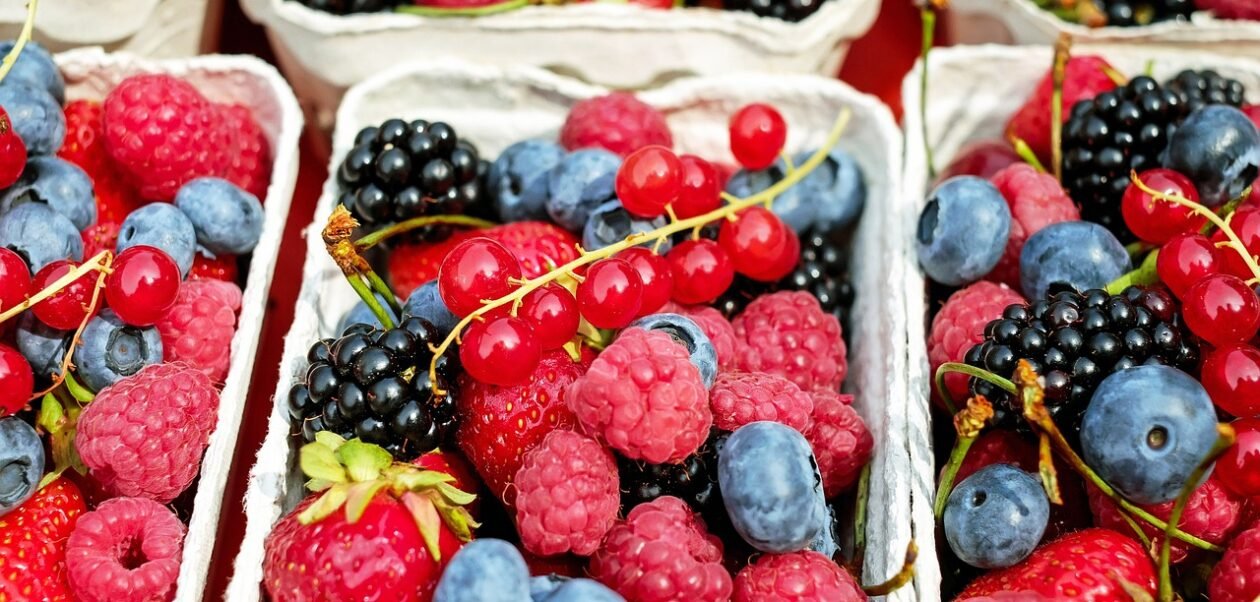 berries, fruits, raspberries-1546125.jpg