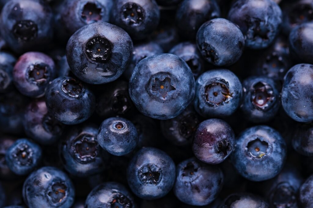 blueberries, fruits, harvest-5955833.jpg